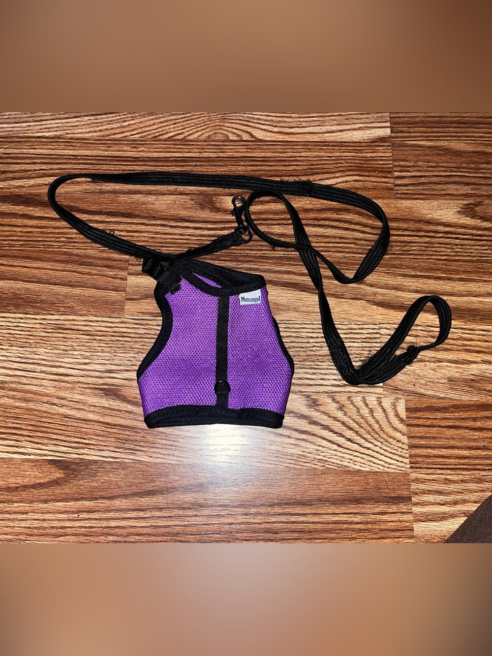 Bunny harness